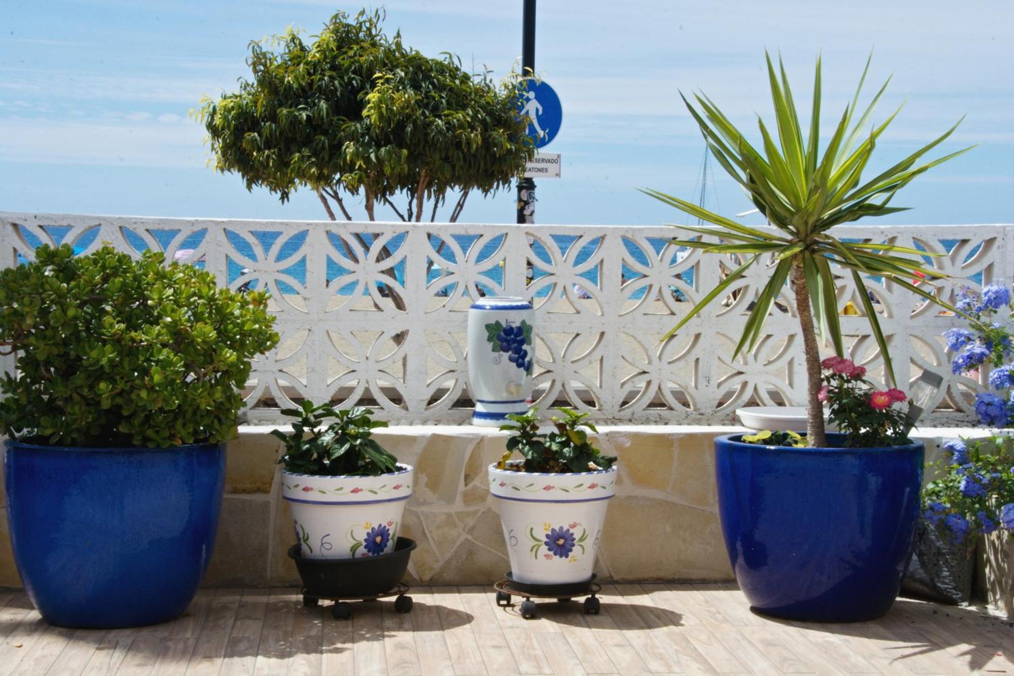 فيلا Casa Curt, Vista Mar Y Playa أرونا المظهر الخارجي الصورة